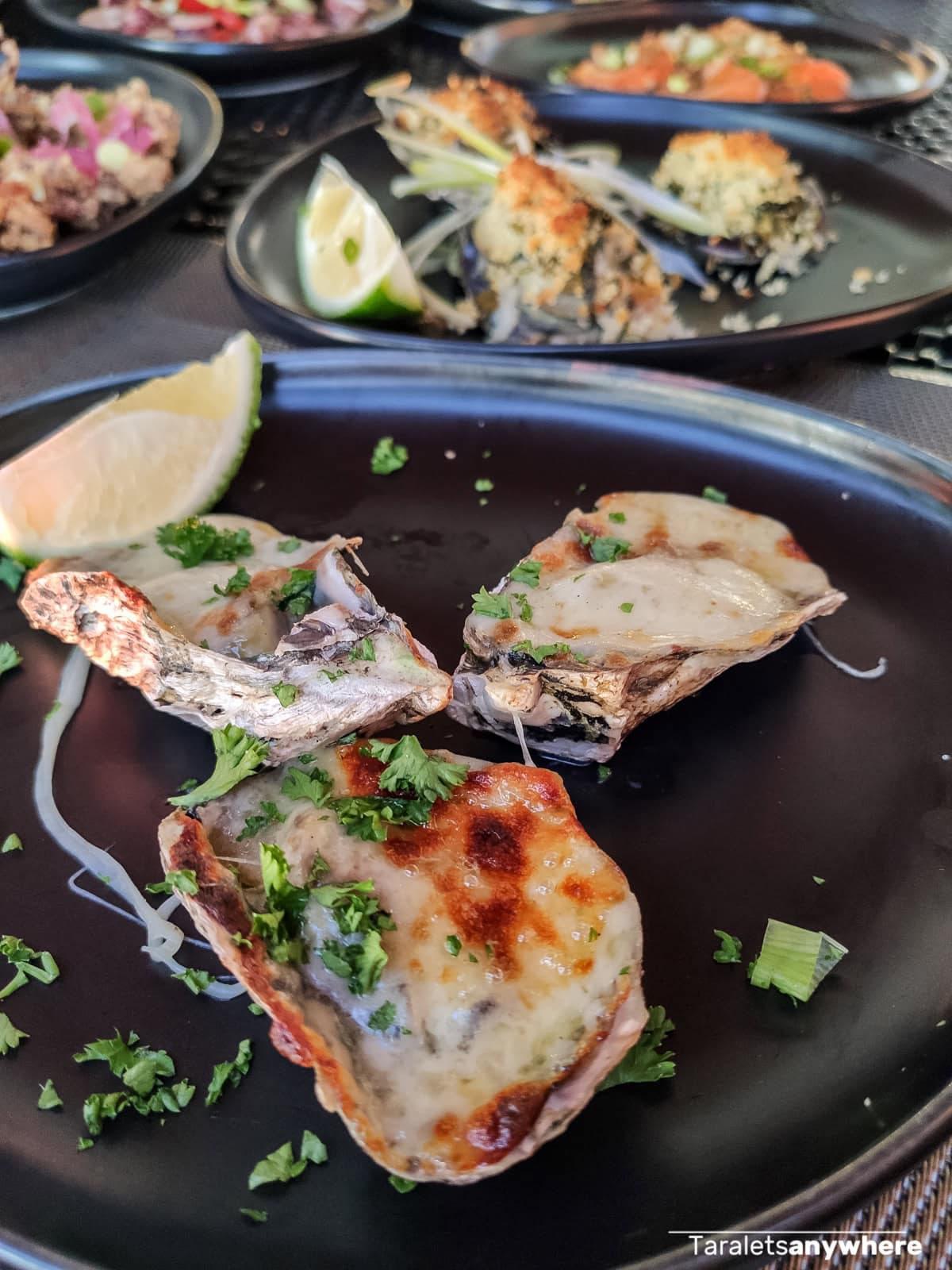 Oysters